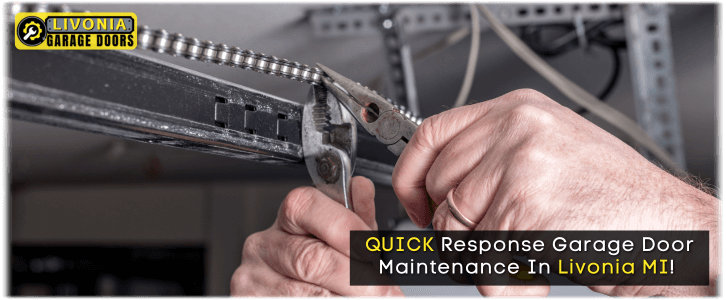 Garage Door Maintenance Livonia MI